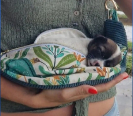 Le-Sac-Banane-Transformé-en-Porte-Bébé-Chiot cocoleeline