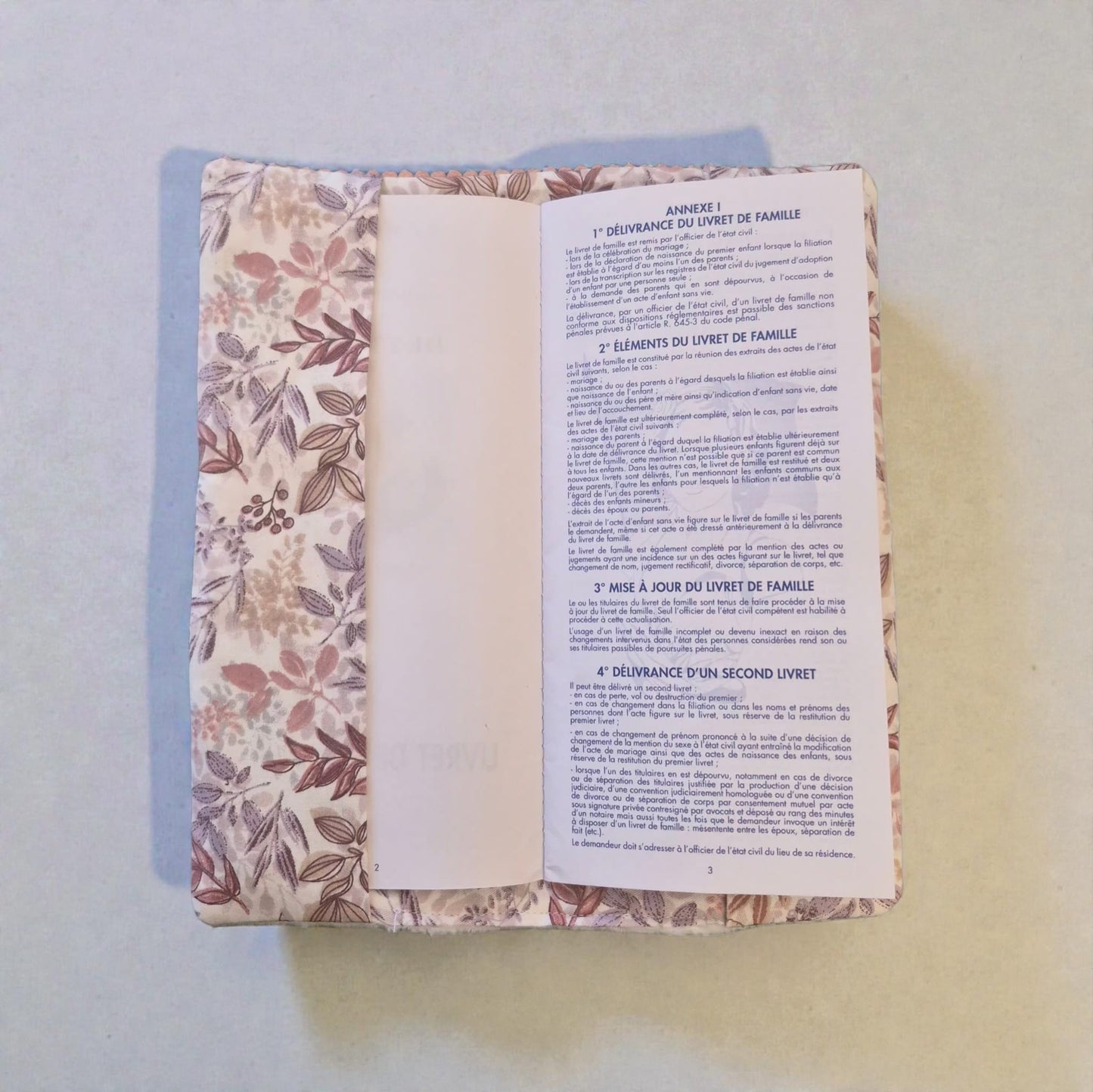 Protège , pochette livret de famille  personnalisable cocoleeline